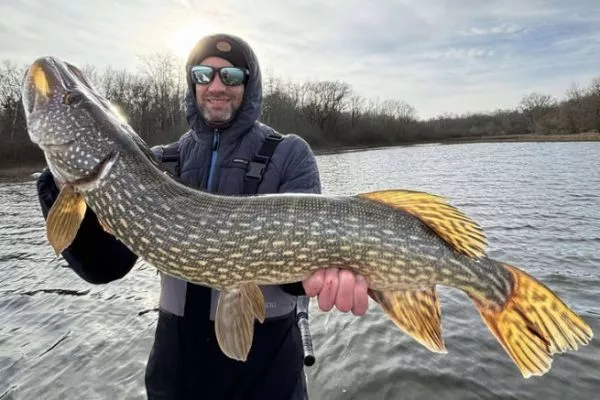 Major Fish Premium - Scatola Regalo Per Pesca Ai Predatori (Luccio, Lucioperca, Persico) - Esche E Terminali Di Qualità, Selezione Variabile
