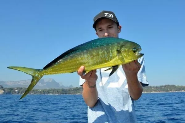 Rigs Per Merluzzo 15 Impianti Da Pesca In Mare Con Pulegge - Attrezzature Per Pesca A Terra, Per Merluzzo E Pesce Azzurro Impianti Pesca Mare